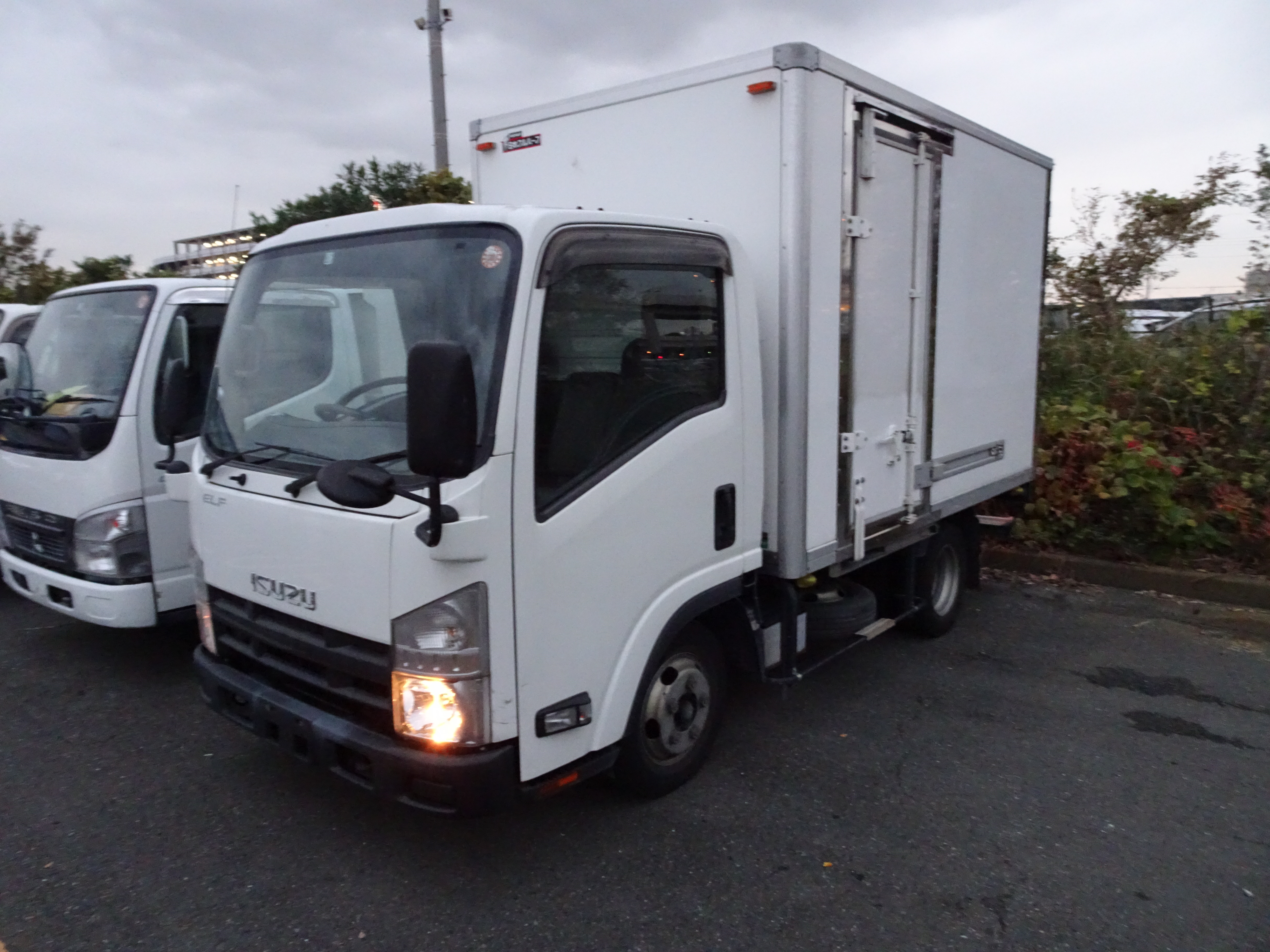 【AA代行落札】エルフ